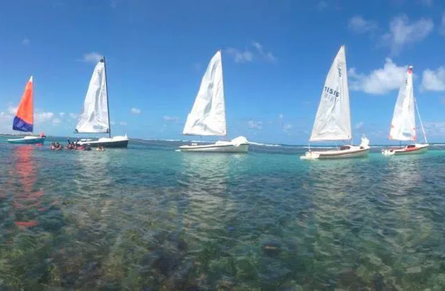 Vela - foto 2