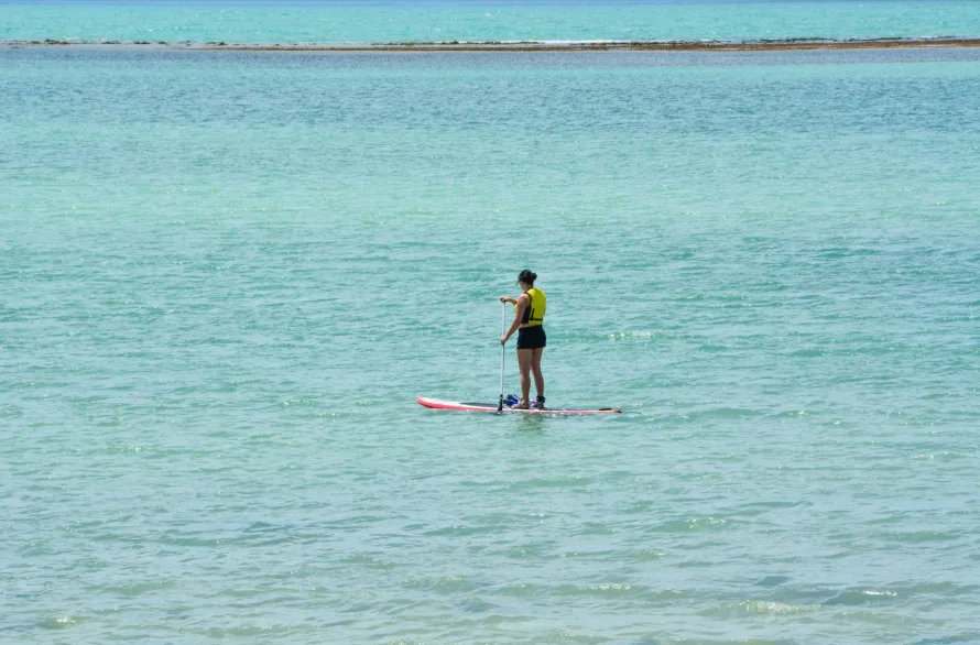 Stand Up Paddle