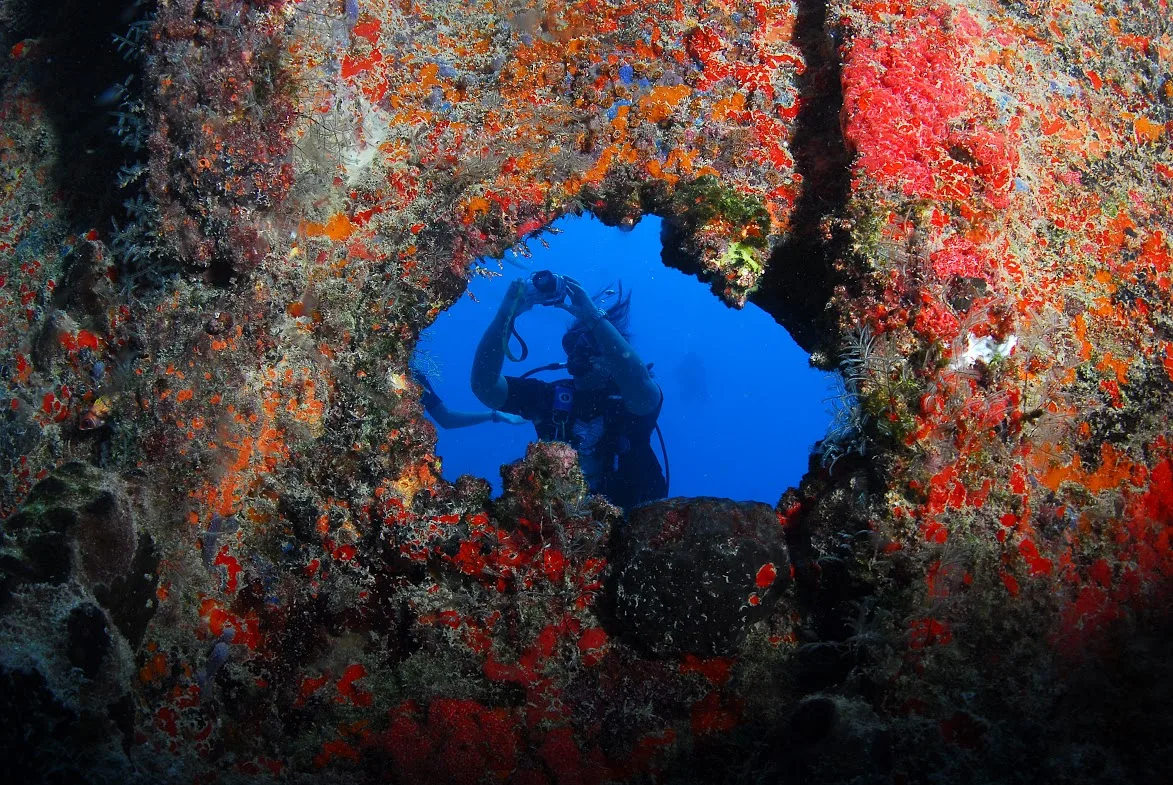 Mergulho - foto 4