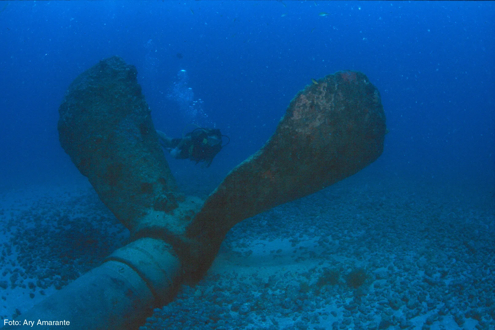 Mergulho - foto 5