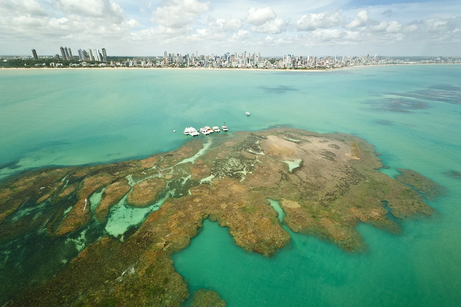 Picãozinho